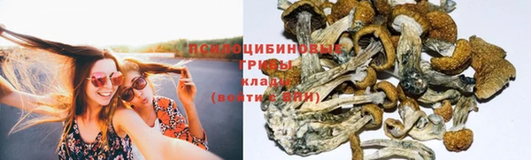 шишки Аркадак