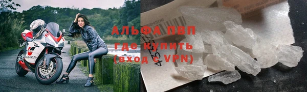 шишки Аркадак