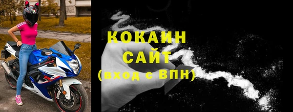 шишки Аркадак