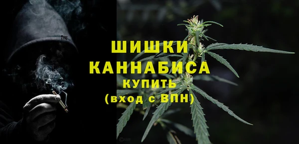 шишки Аркадак