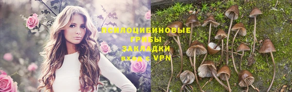 меф Армянск