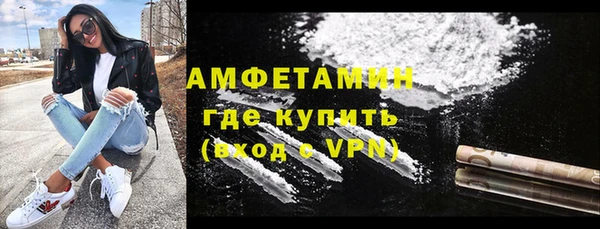 шишки Аркадак