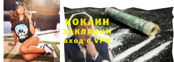 шишки Аркадак
