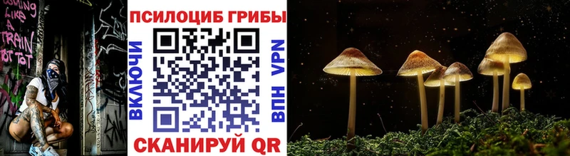 как найти закладки  Талица  Галлюциногенные грибы Magic Shrooms 
