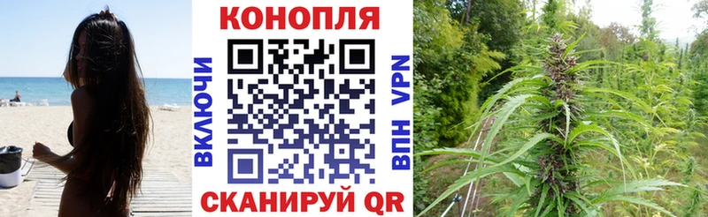 МАРИХУАНА тримм  Талица 